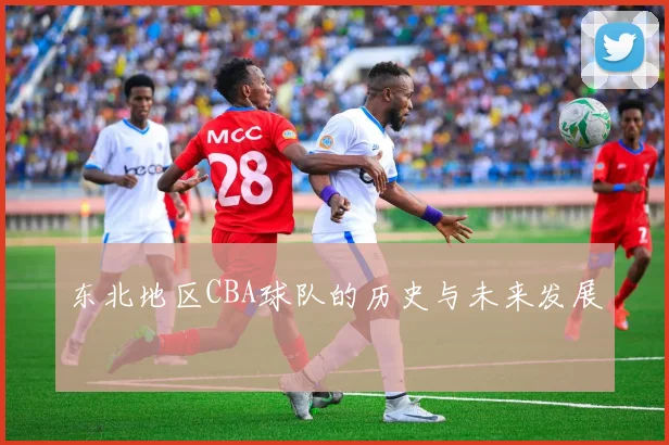 东北地区CBA球队的历史与未来发展
