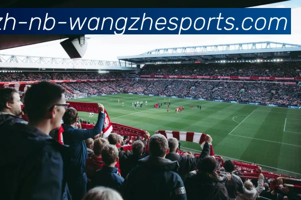 王者体育服务体系